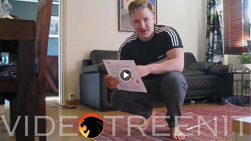 <?php echo pulse_output(); ?>